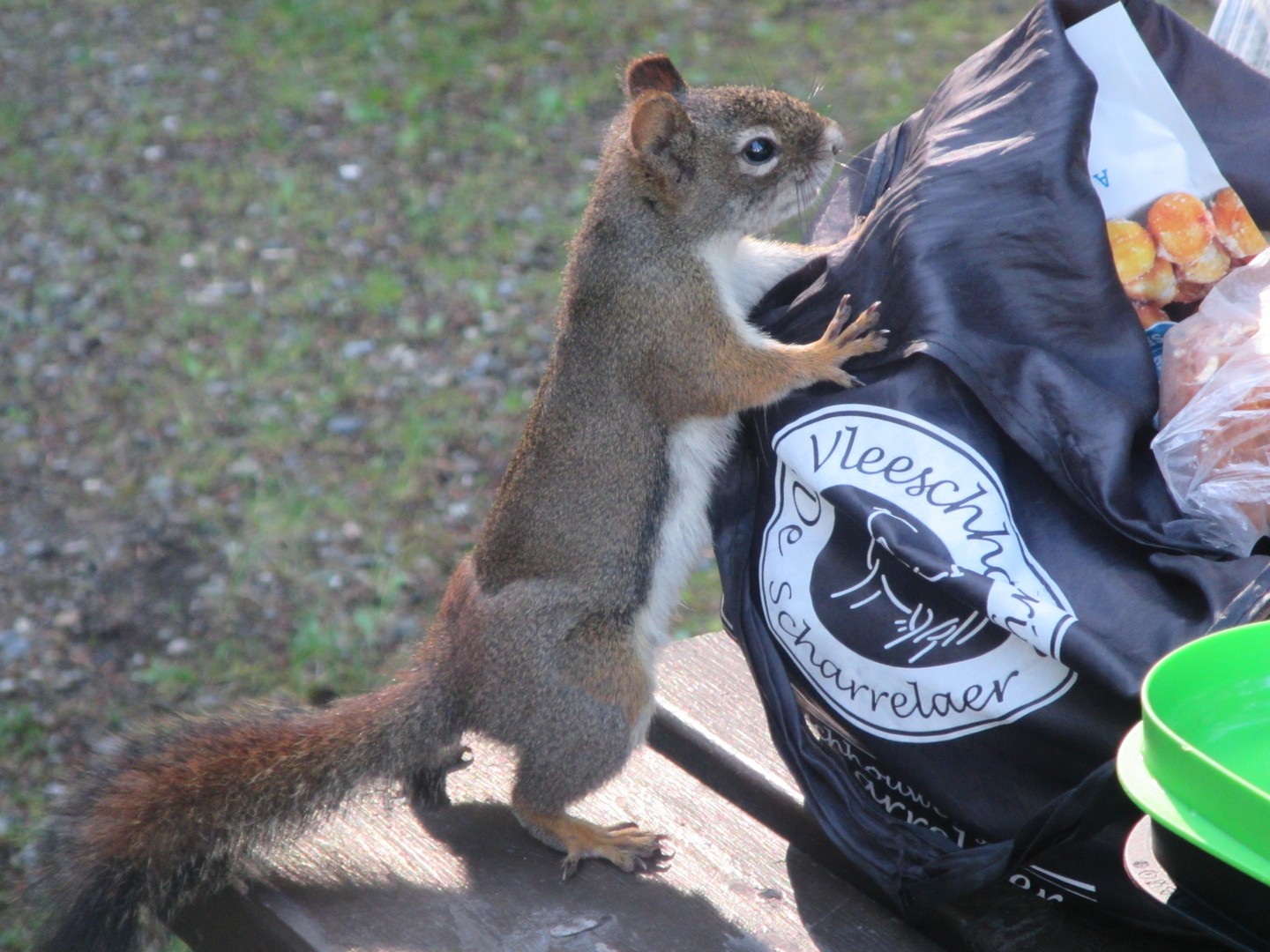 2017-06-20 Golden_Field-16