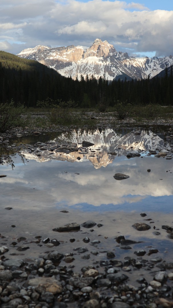 2017-06-22 Field_Takakawfalls-258