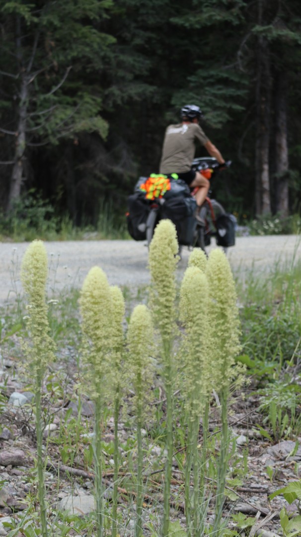 2017-07-11 Eureka_Tuchuck-72.JPG