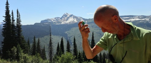 2017-07-16 Glacier National Park-269_stitch