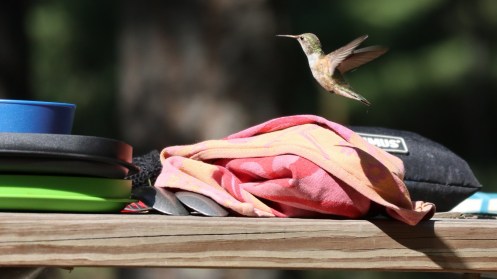 2017-07-20 Holland Lake-19 (2)