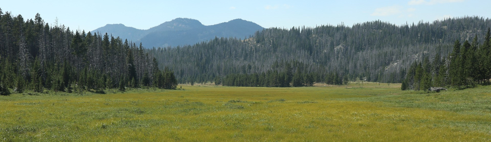 2017-07-30 Park Lake_Mormon Gulch-86