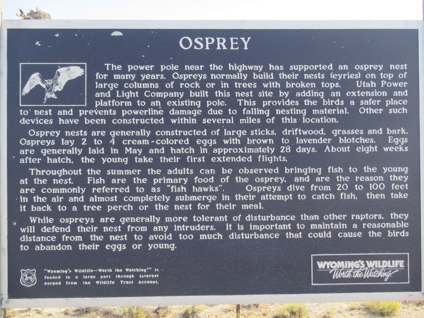 2017-08-17 Pinedale_Lander Creek-28