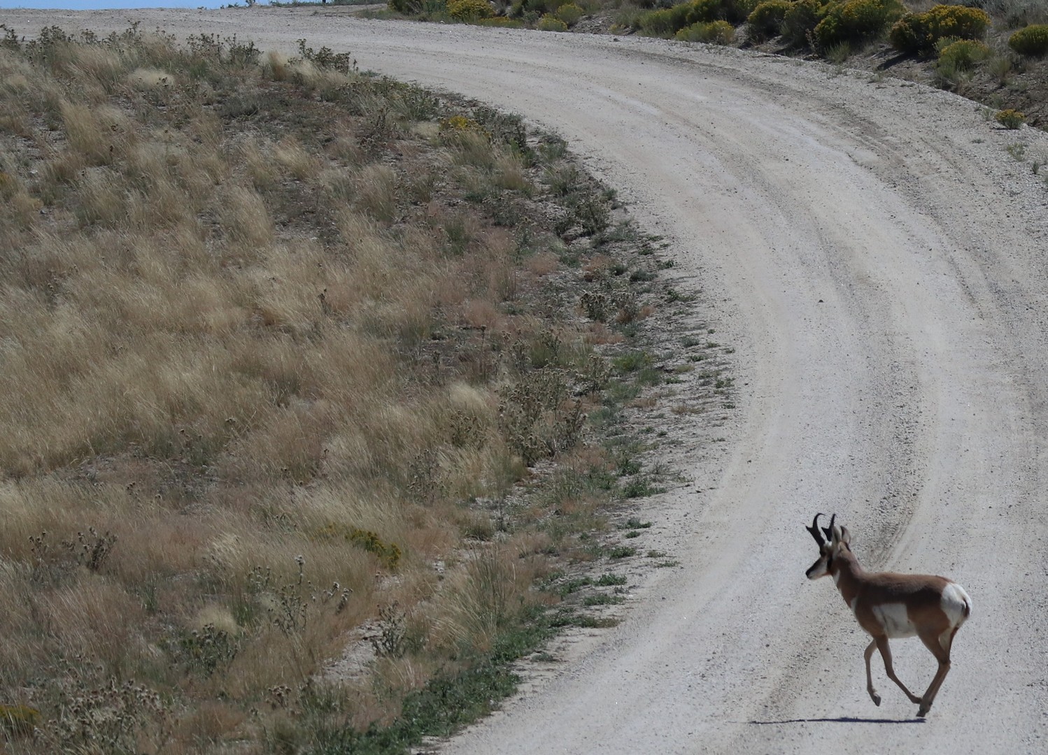 2017-08-19 Sweet Water River Bridge_A&amp;M Reservoir-112 (2)