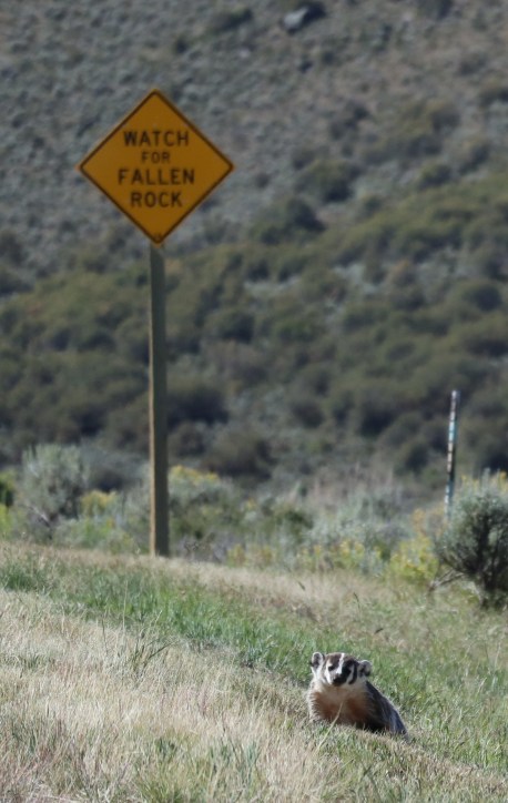 2017-08-24 Aspen Alley_Brush Mtn Lodge-135 (2)