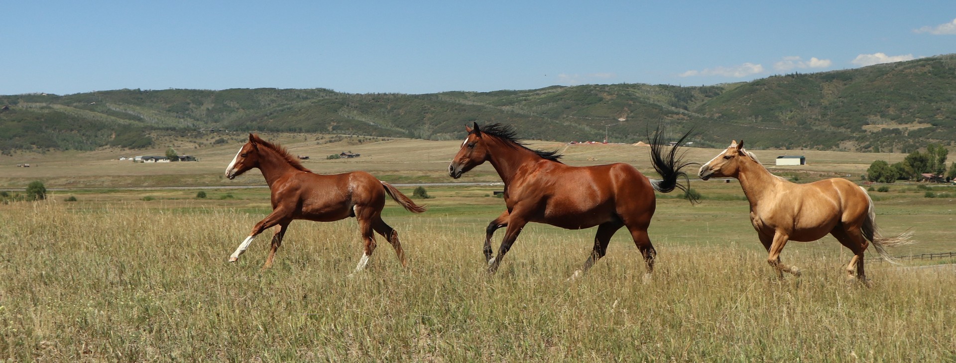 2017-08-27 Steamboat_Morisson Creek-40 (2)