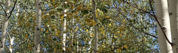 2017-08-28 Morisson Creek_Radium-50 (2)