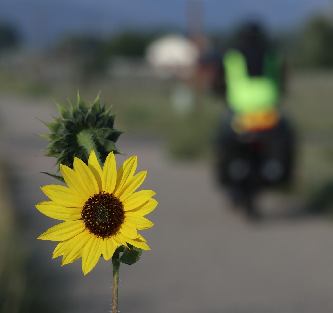 2017-09-07 Salida_Marshall Pass-40 (2)