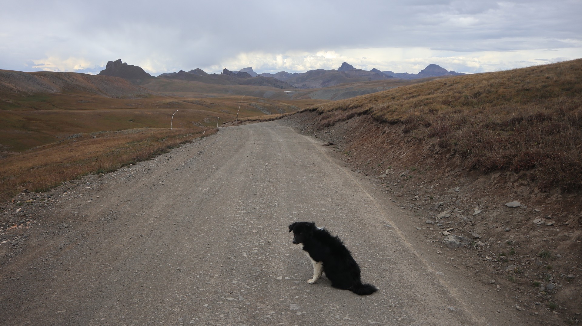 2017-09-11 Neellie Creek_Mineral Creek-73