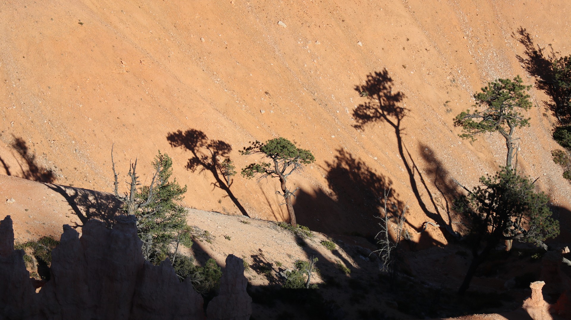 2017-10-08 Bryce Canyon-42