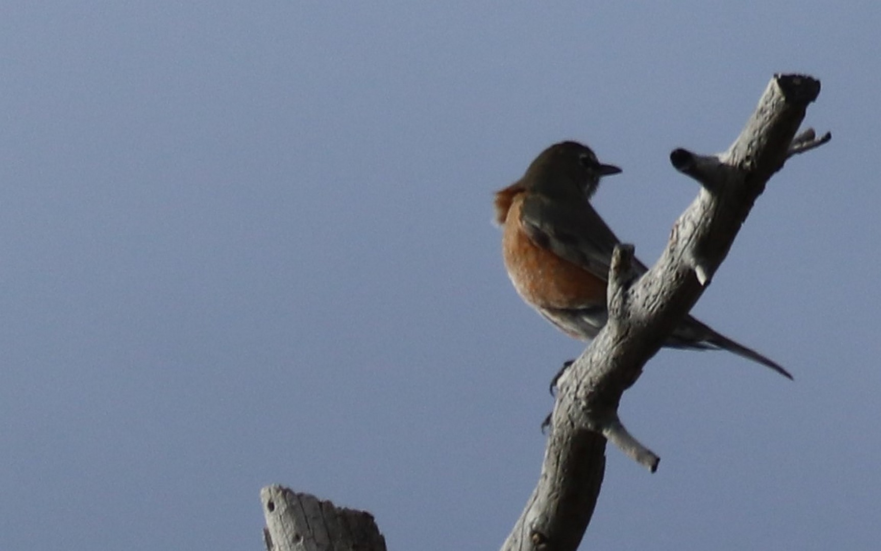 2017-10-18 GC North Rim-55 (2)