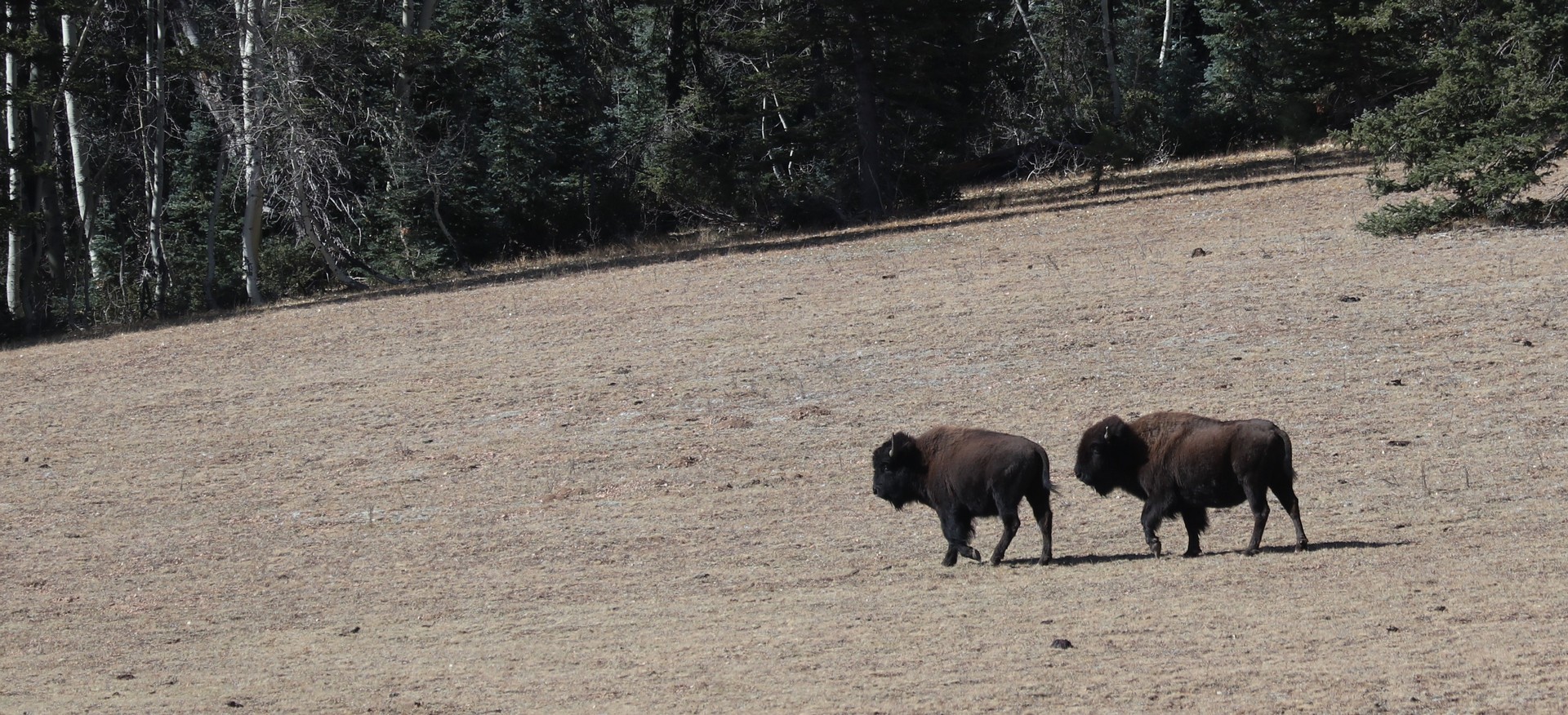 2017-10-20 GC North Rim_Cliff Dwellers-7 (2)
