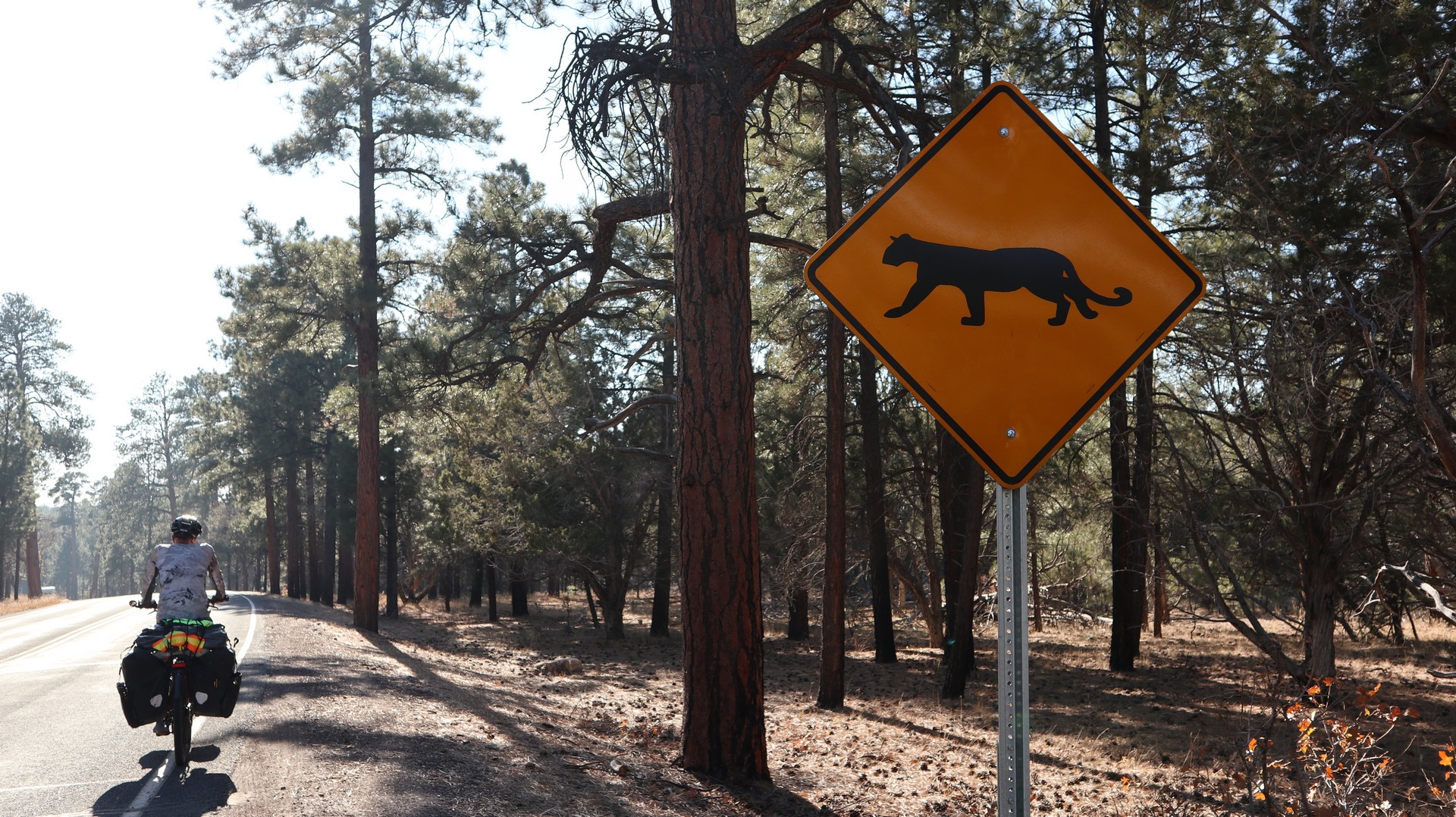 2017-10-27 WC_Grand Canyon South Rim-115