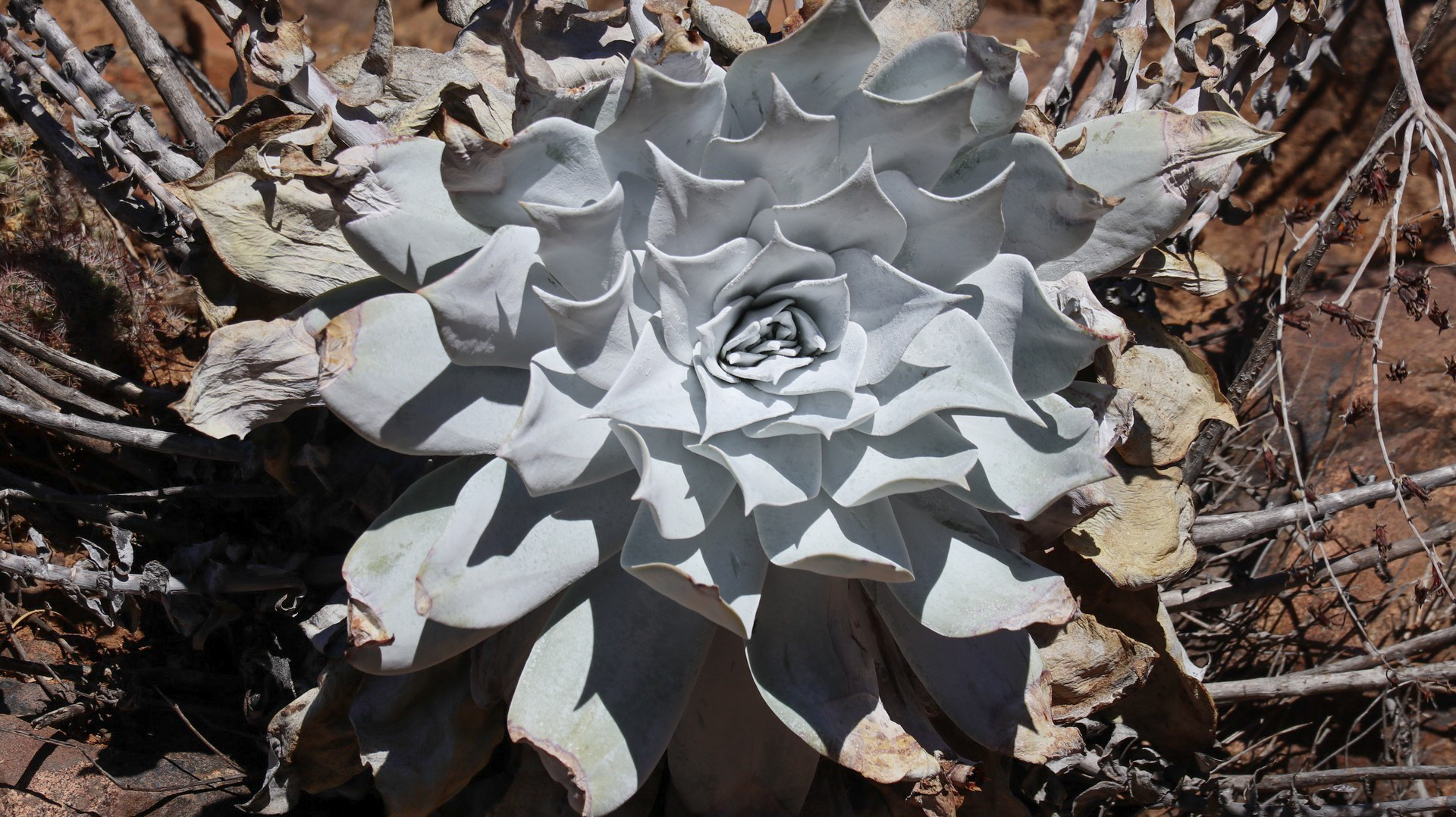 2018-01-23 Somewhere_Still Nowhere-26