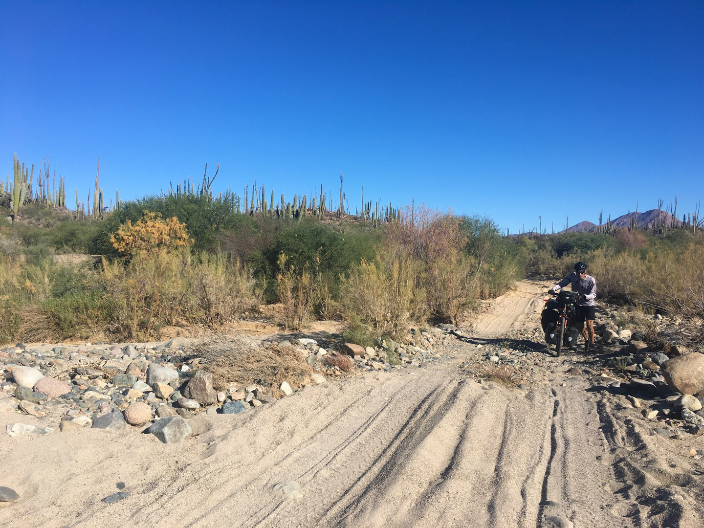 2018-01-24 Still Nowhere_Descanso-2