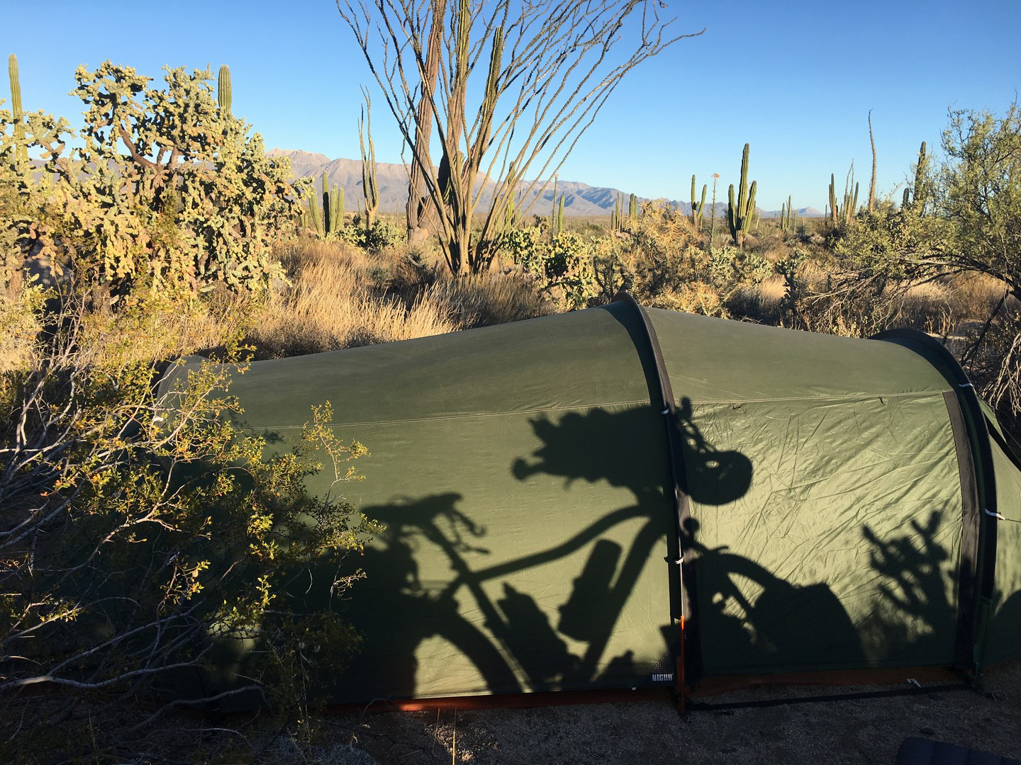 2018-01-26 Catavina_Wildcamp Mex1-15