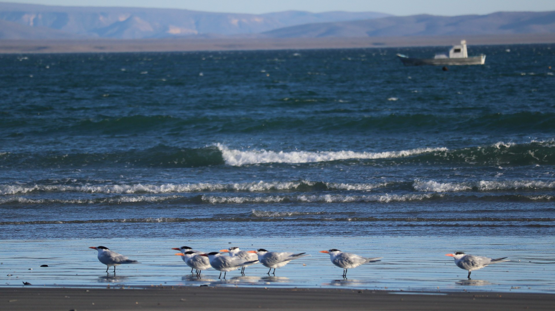 2018-01-27 Wildcamp Mex1_Sta Rosaliita-46