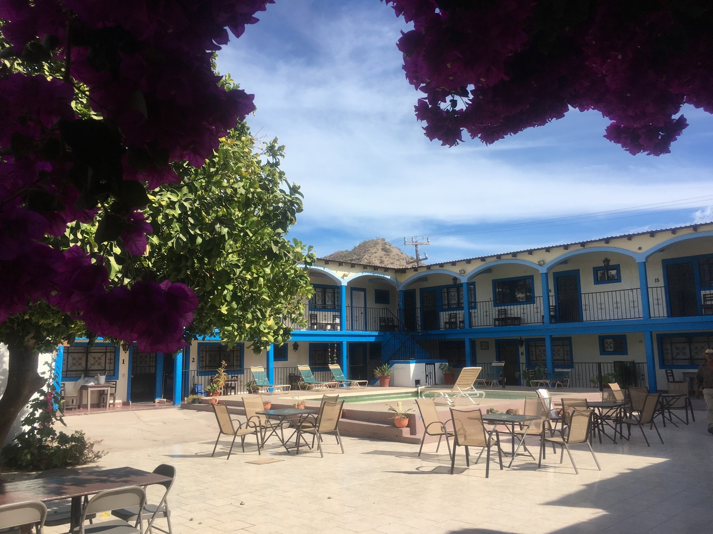 2018-02-05 Mulege-11