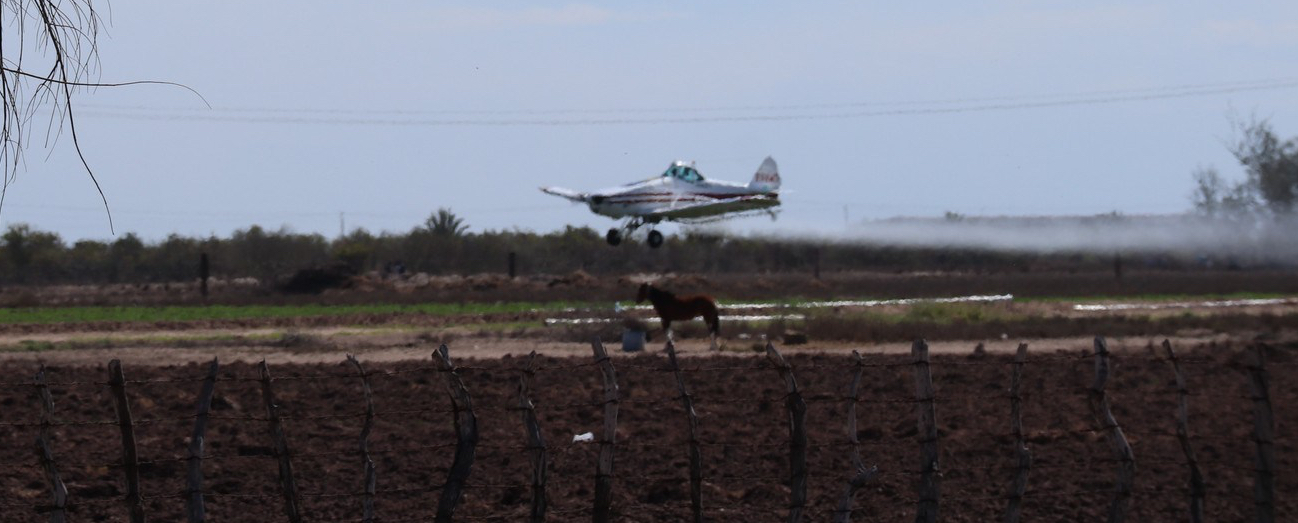 2018-02-09 R. El Parquito_Ciudad Constitucion-46