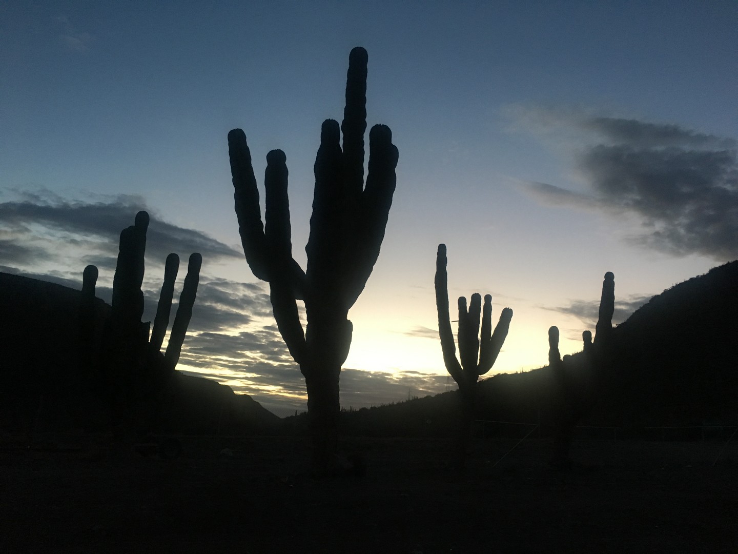 2018-02-09 R. El Parquito_Ciudad Constitucion-8