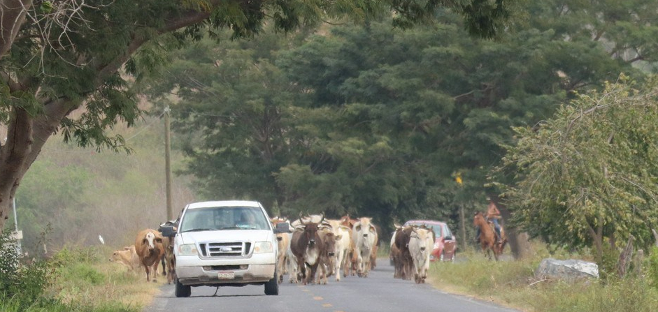 2018-02-20 Acaponeta_Ruiz-53