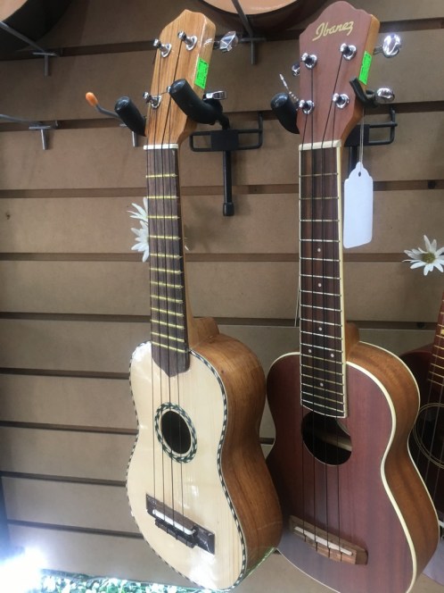 2018-02-28 Guadaljara_Mezcala-16