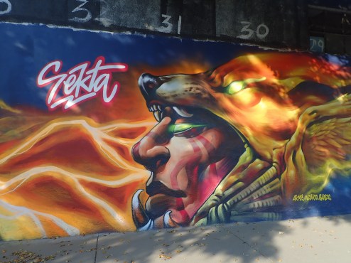 2018-02-28 Guadaljara_Mezcala-70