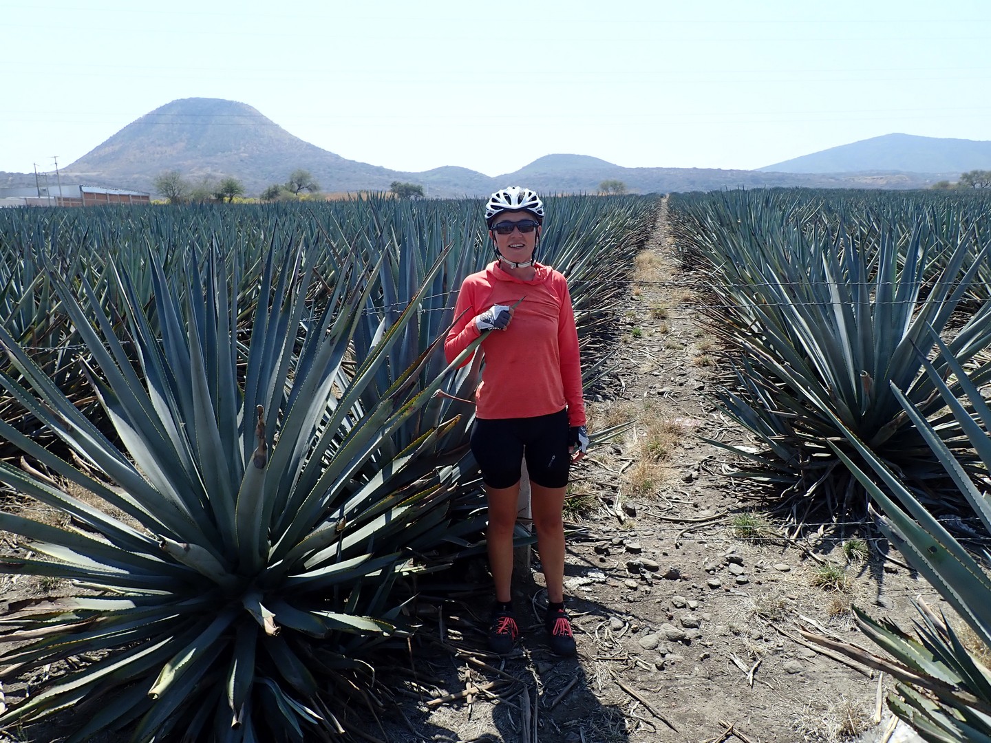 2018-03-01 Mezcala_La Barca-50