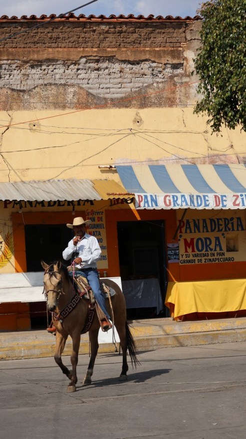 2018-03-04 Cuitzeo_Araro-100