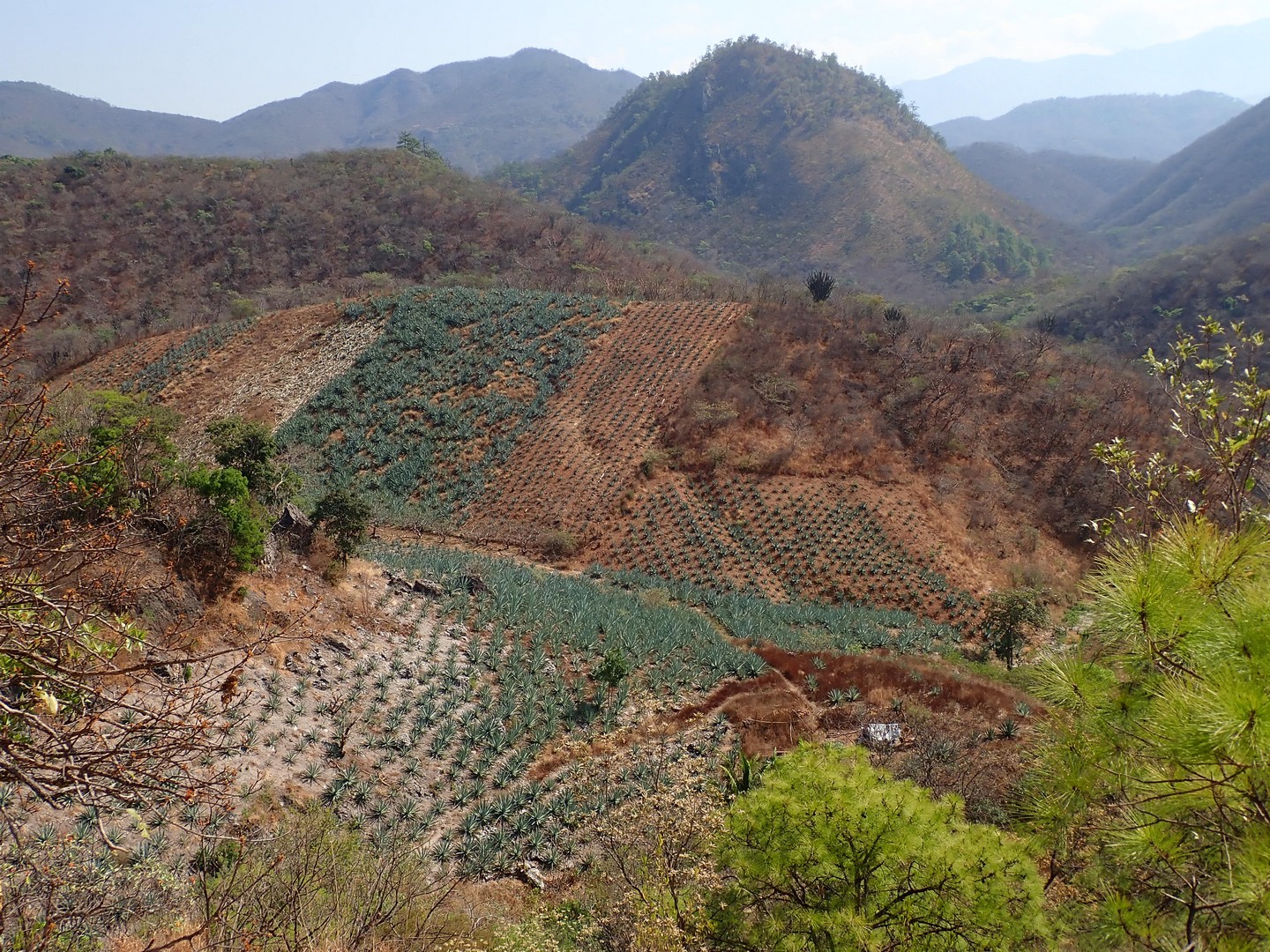 2018-04-08 El Camaron_Magdalena Tequisistan-58