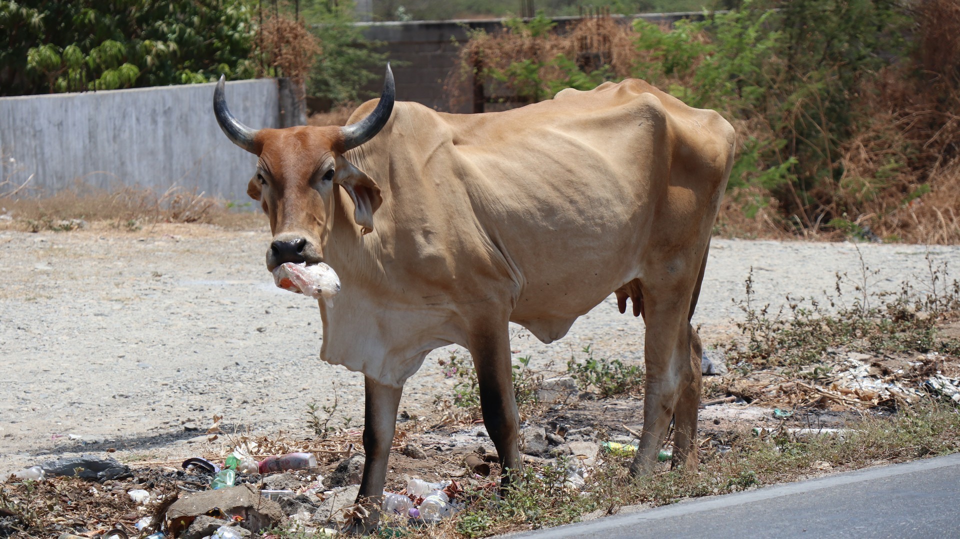 2018-04-09 Tequisistan_Juchitan de Zaragosa-46