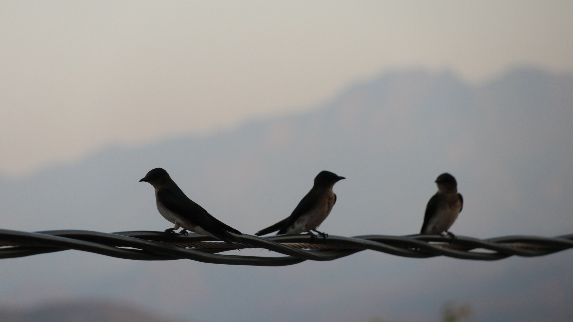 2018-04-09 Tequisistan_Juchitan de Zaragosa-5