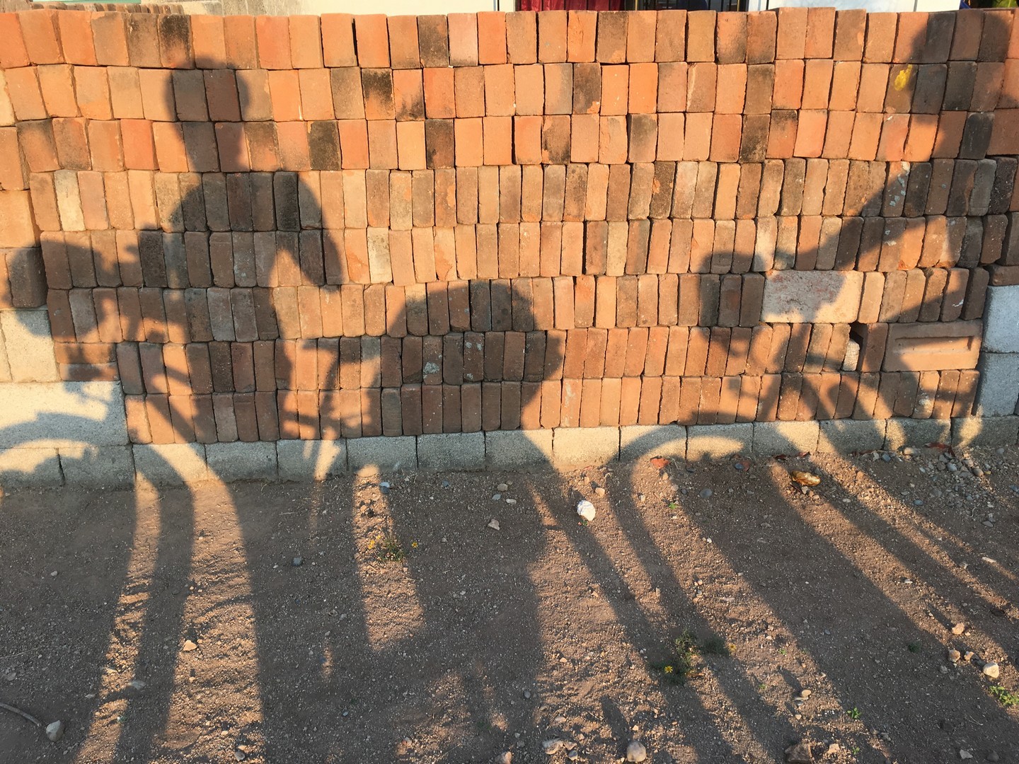 2018-04-09 Tequisistan_Juchitan de Zaragosa-52