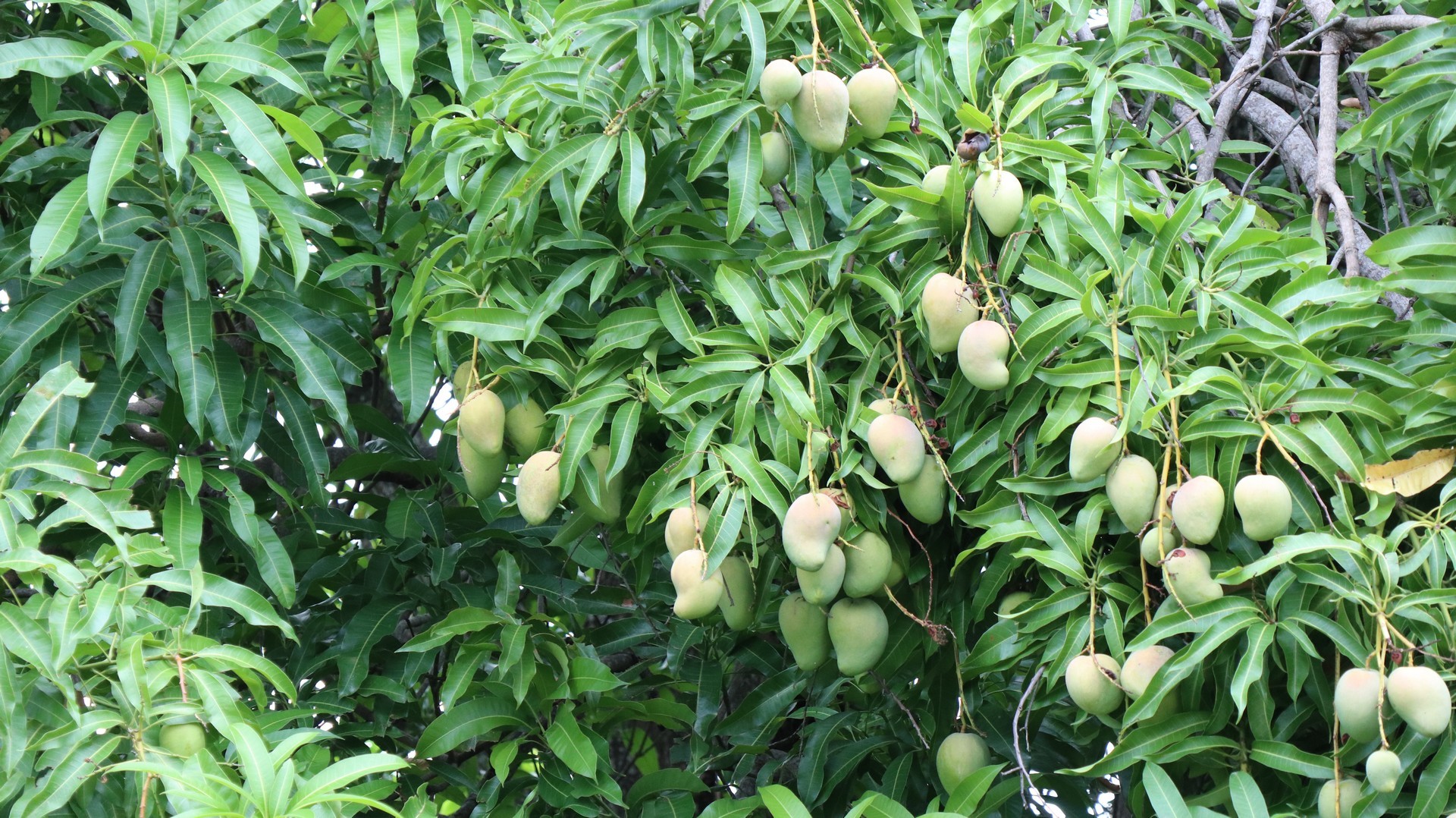 2018-04-11 Tapanatepec_Chintalapa-10