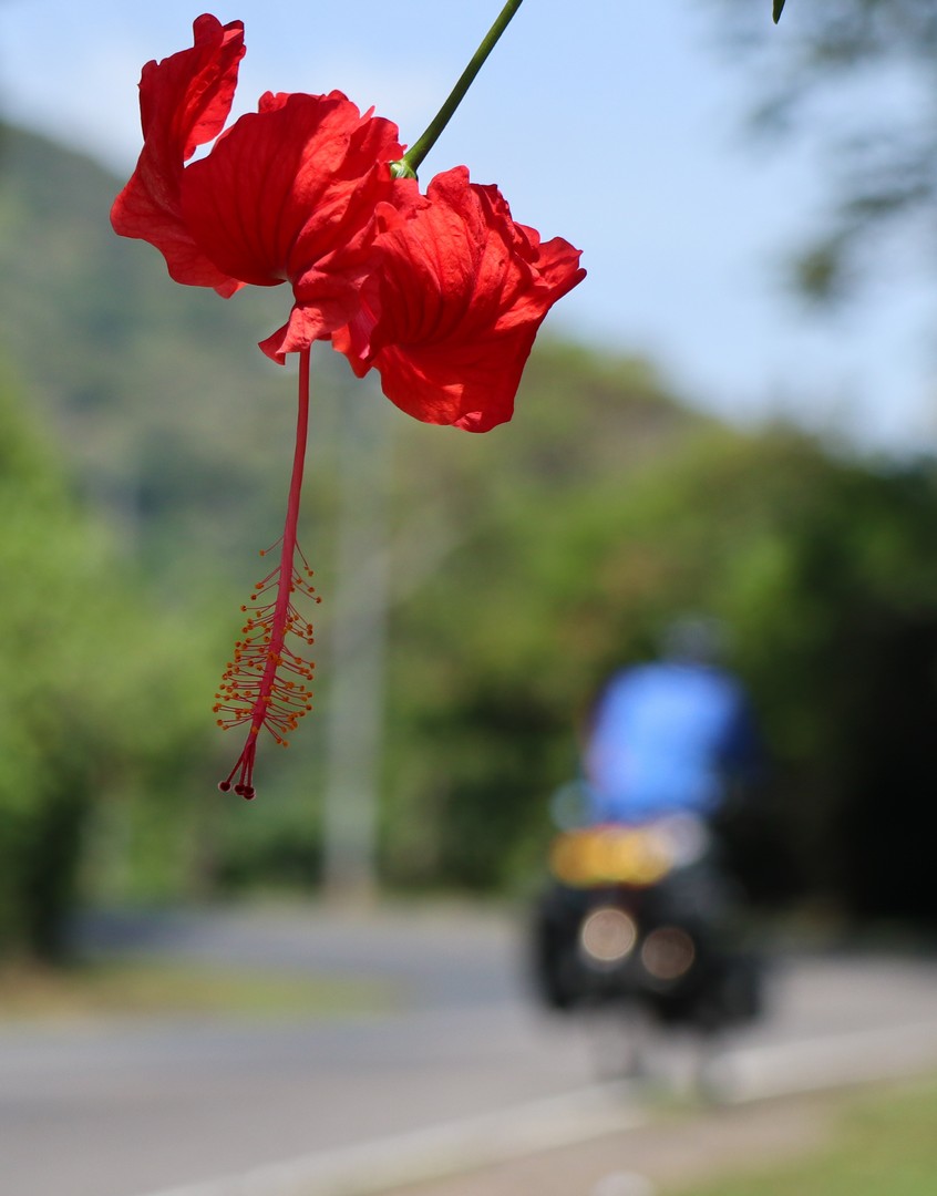 2018-05-06 Ahuachapan_Juayua-13