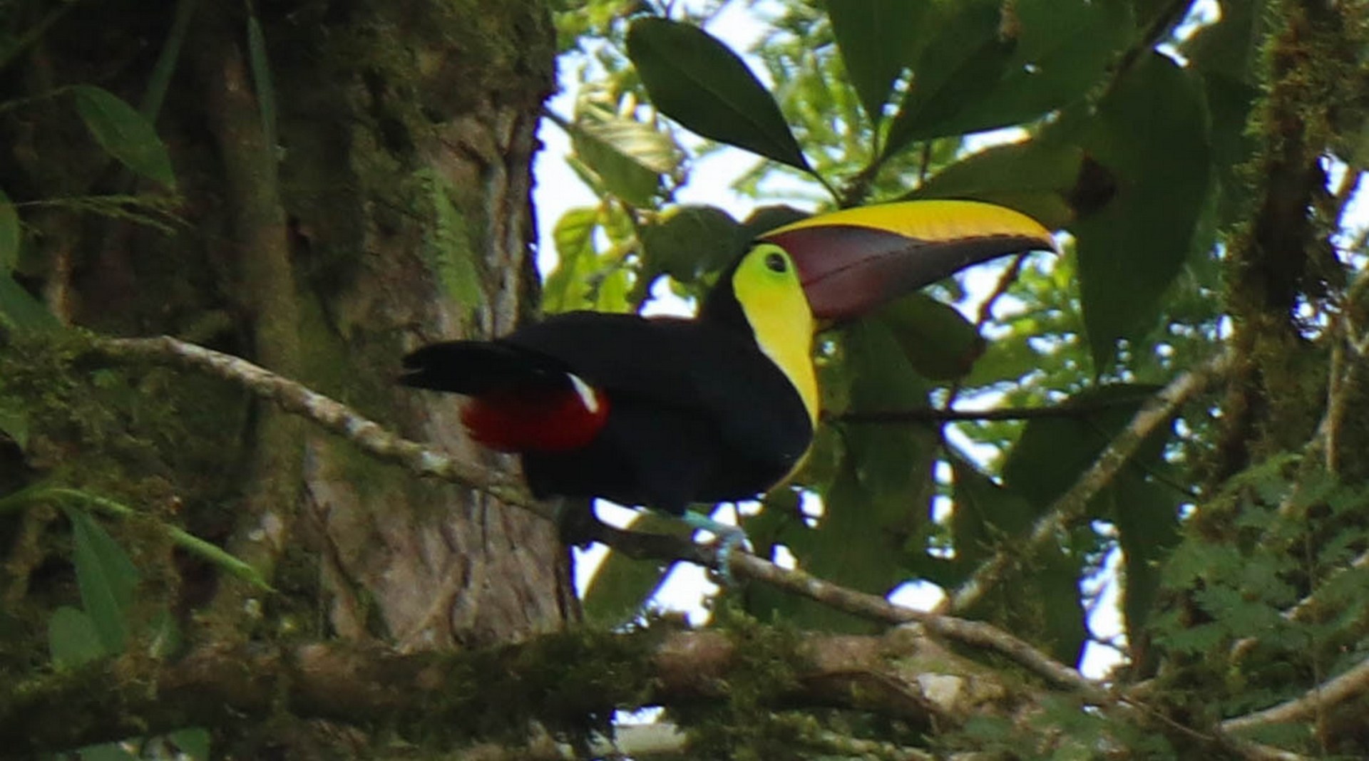 2018-06-26 Piedras Blancas_Playa Blanca-8