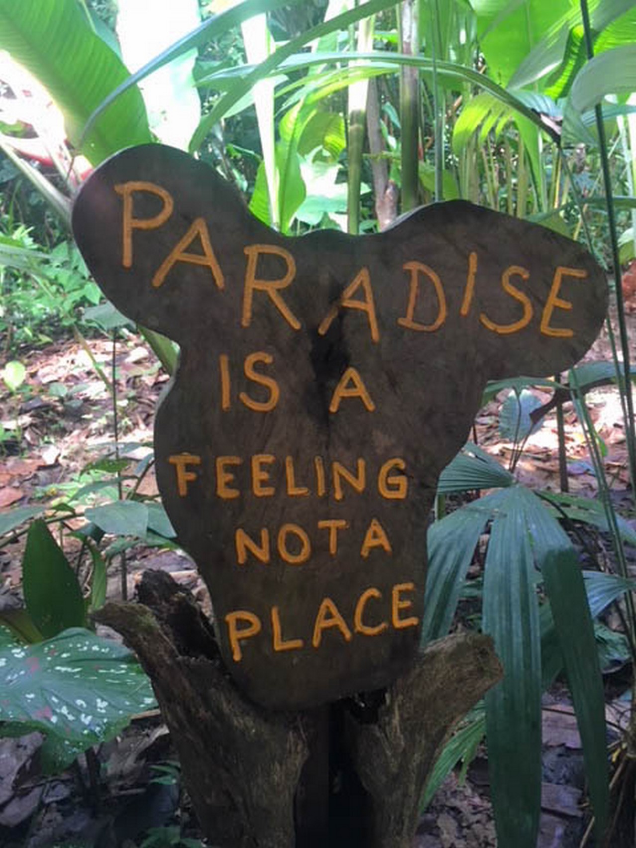 2018-06-27 Playa Blanca_Don Brazos-100