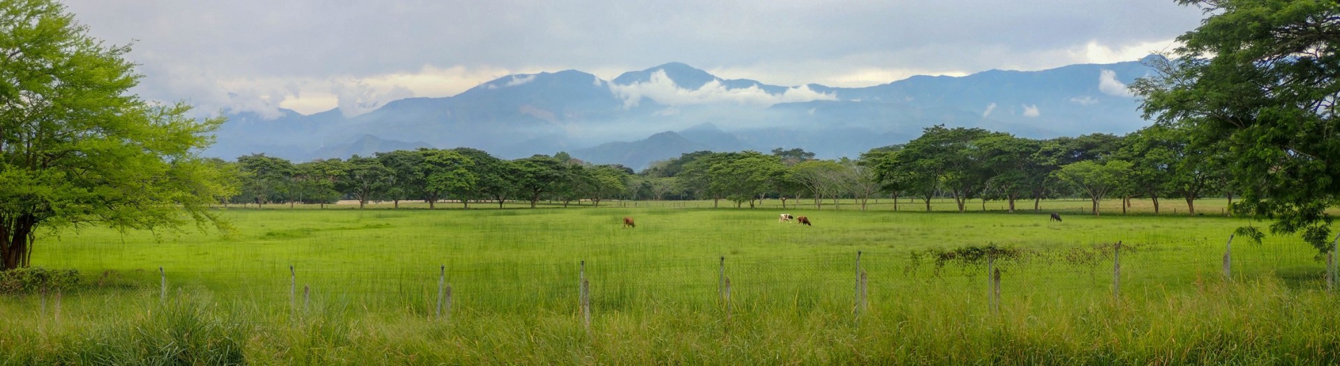 2018-08-08 Pelaya_San Martin-47_stitch