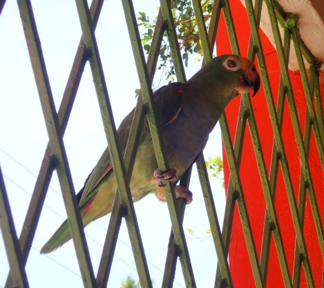 2018-08-09 San Martin_San Alberto-10