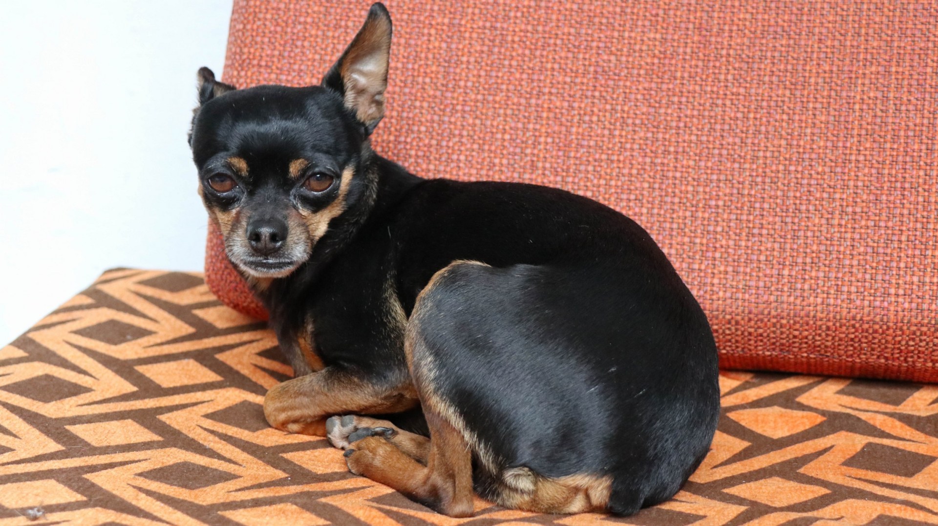 2018-08-14 San Gil_Mogote-125