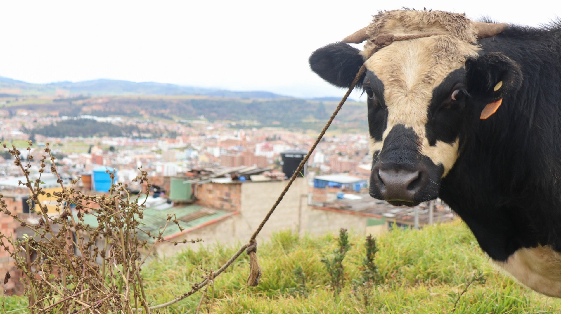 2018-08-30 Tunja_Villa de Leyva-18