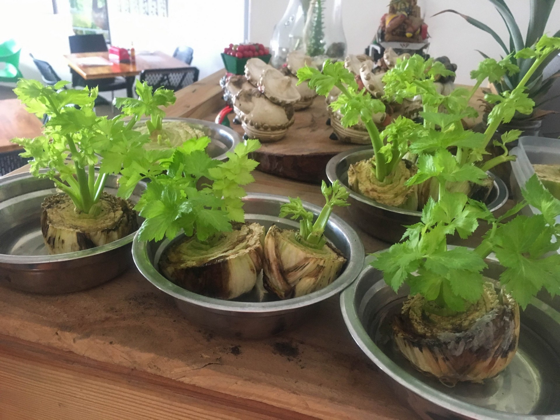 2018-09-11 Manizales_Santa Rosa de Cabal-2