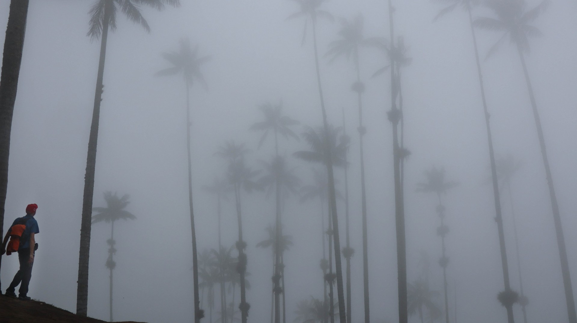 2018-09-13 Salento-72