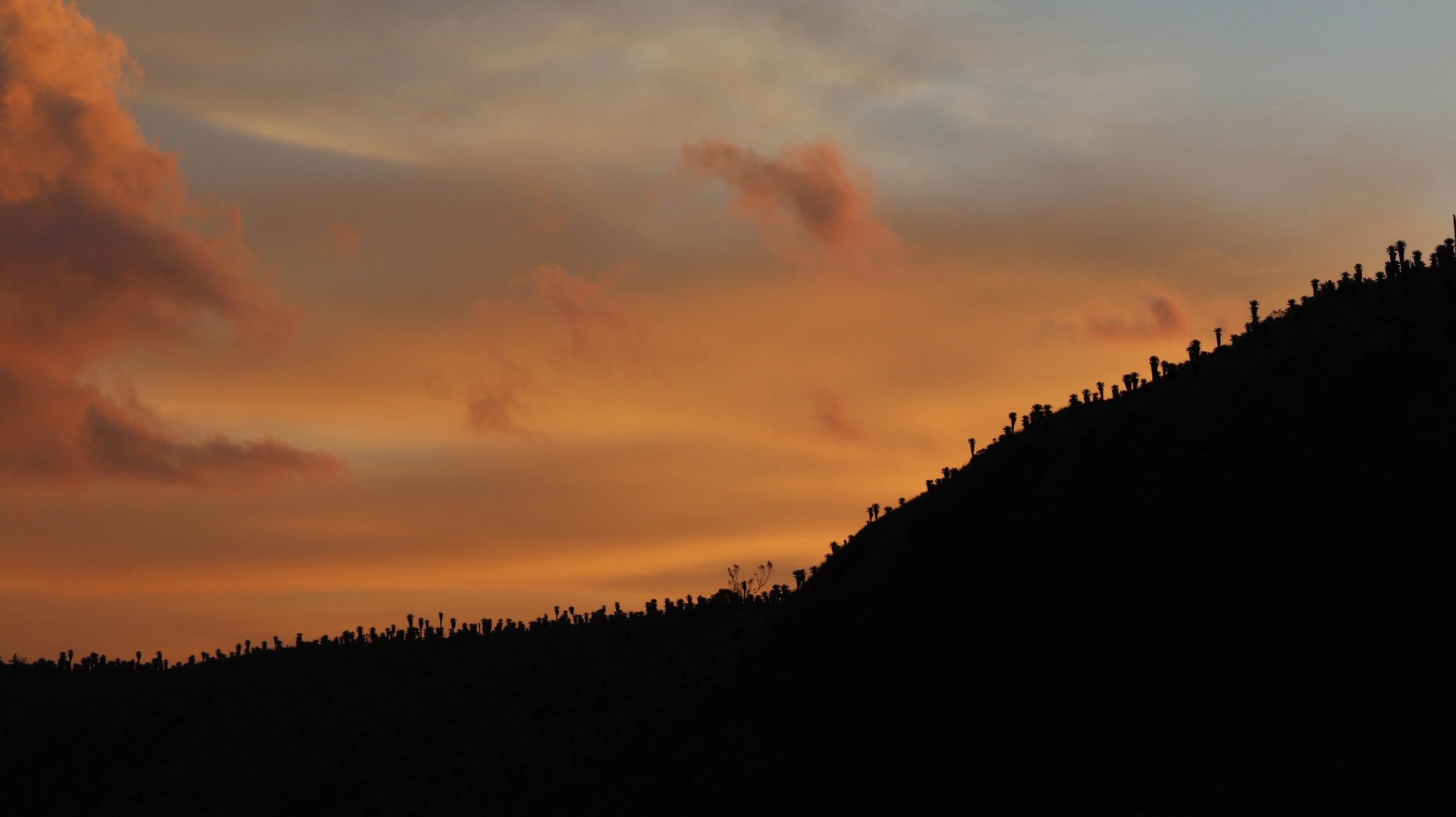 2018-10-01Tulcan_Reserva El Angel-194