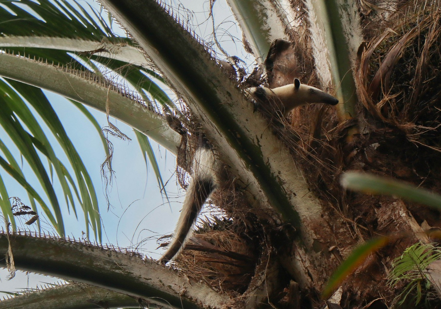 2018-10-21 La Mana_Mocache-57