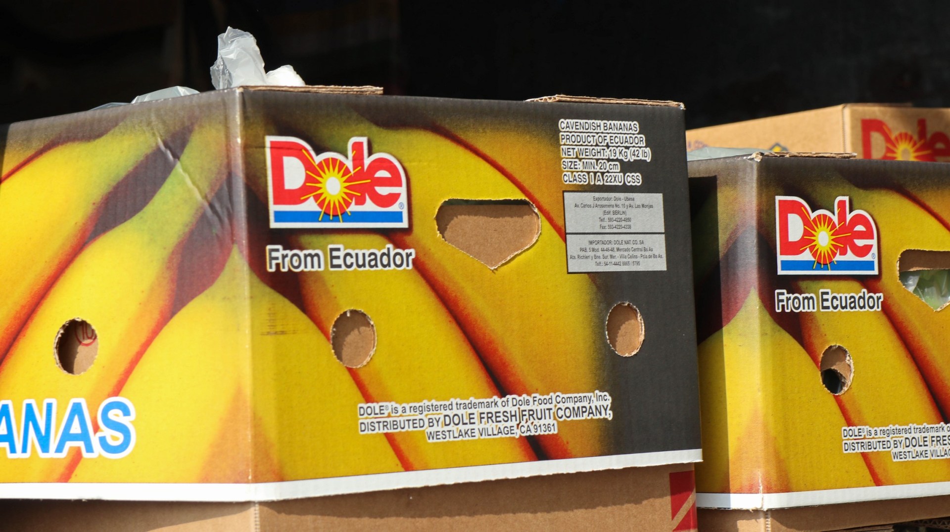 2018-10-22 Mocache_Antonio Sotomayor-130