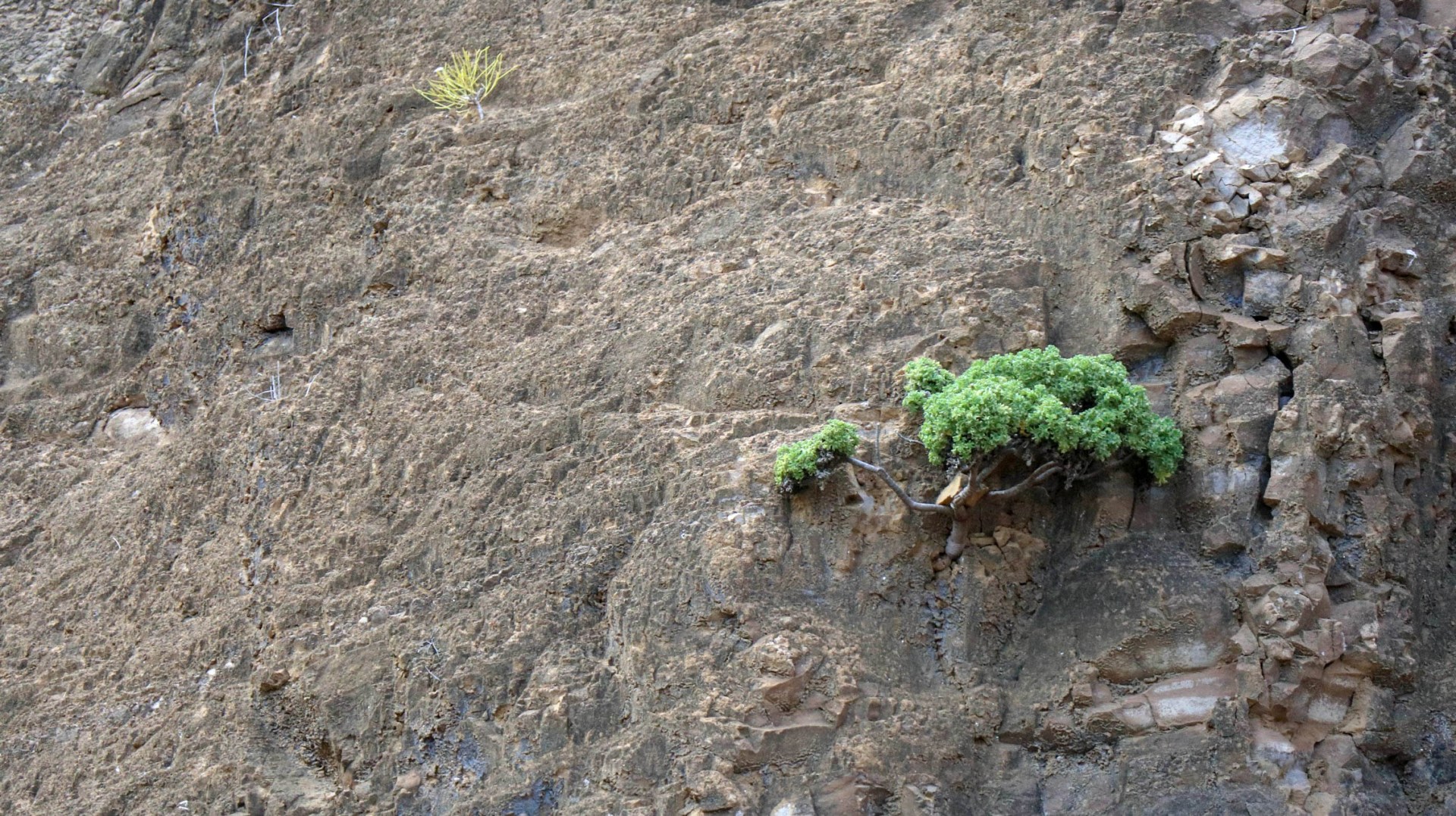 2018-11-09 Isla Cristobal-120