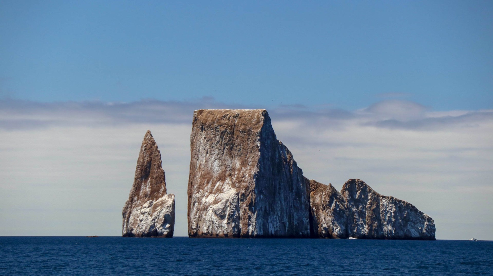 2018-11-10 Isla Lobos-105