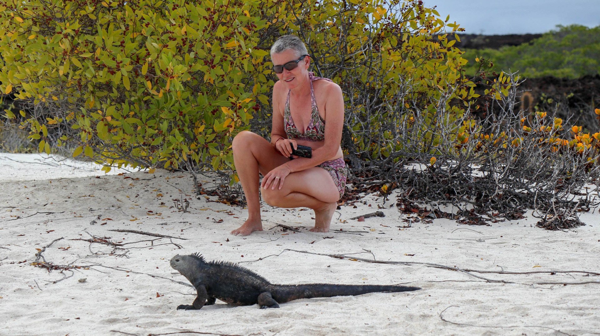 2018-11-10 Isla Lobos-65