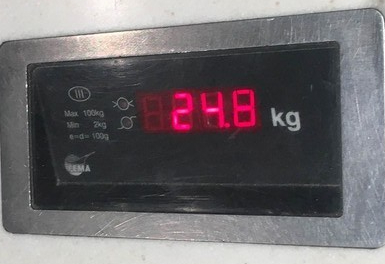 2019-03-27 Schiphol_Guayaquil-18